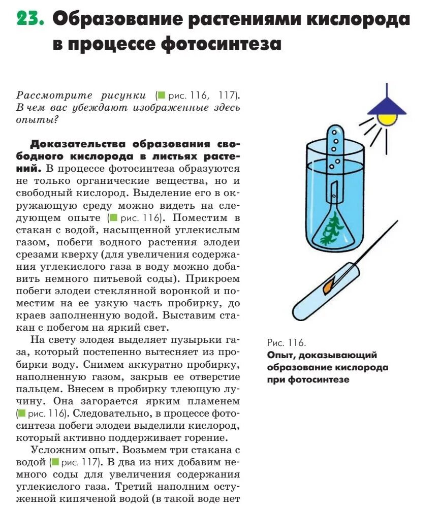 Поместили в пробирку с водой побег растения. Опыт доказывающий выделение кислорода элодеей. Опыт с элодеей выделение кислорода. Опыт выделение кислорода на свету. Опыт доказывающий выделение кислорода.