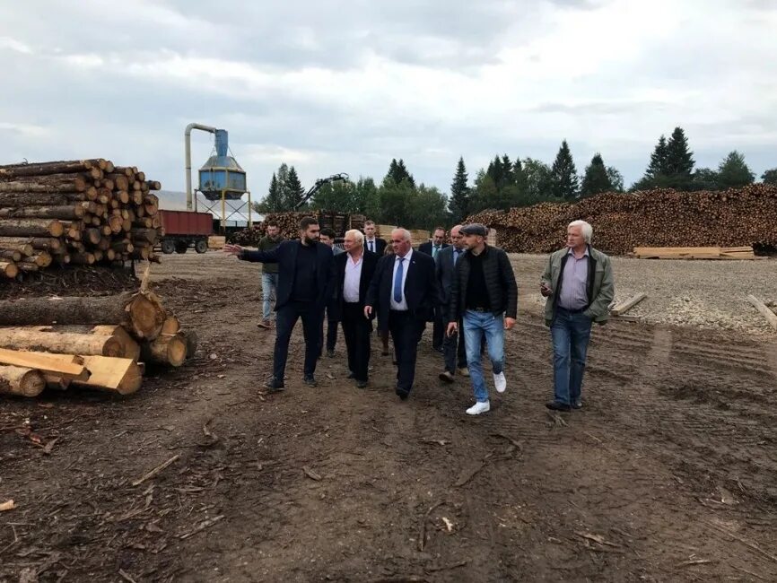Районы деревообработки. Лесопромышленный комплекс Костромской области.