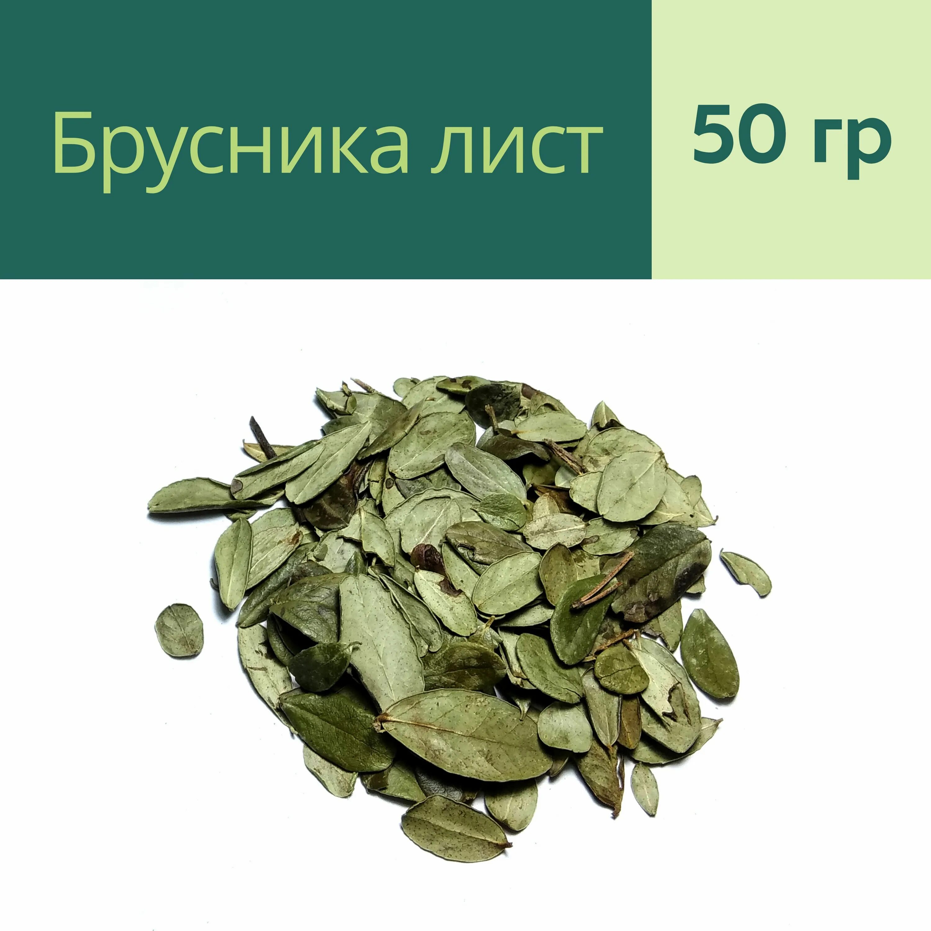 Лист брусники от чего помогает женщине. Брусники листья красногорсклексредства. Как выглядит брусничный лист. Брусничный лист. Брусничный лист фармацвет.