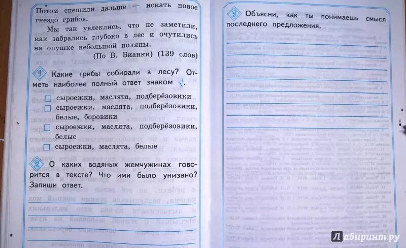 Проверка читательской грамотности 2 класс с ответами. Тетради по читательской грамотности 2 класс. Диагностическая работа по читательской грамотности. Литературное чтение 4 класс читательская грамотность. Литературное чтение читательская грамотность 2 класс.