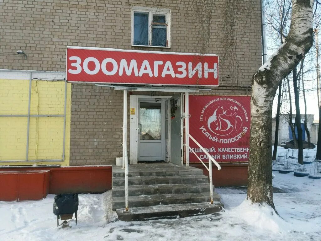 усатый полосатый зоомагазин тула. зоомагазин в иванове. зоомагазин усатый полосатый. тула. зоомагазин усатый полосатый.