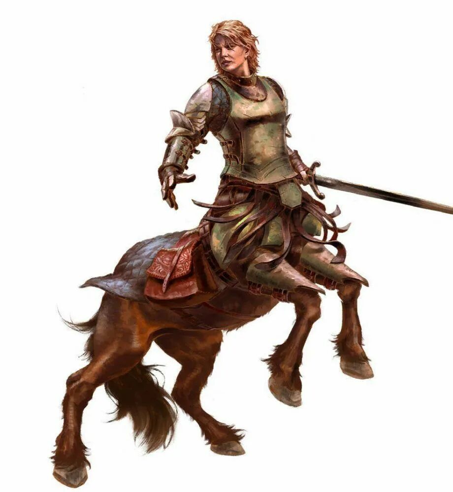 Кентавр анфас. Кентавры из чародеев. Кентавры из чародеев. Эльф кентавр. Кентавр днд арт.