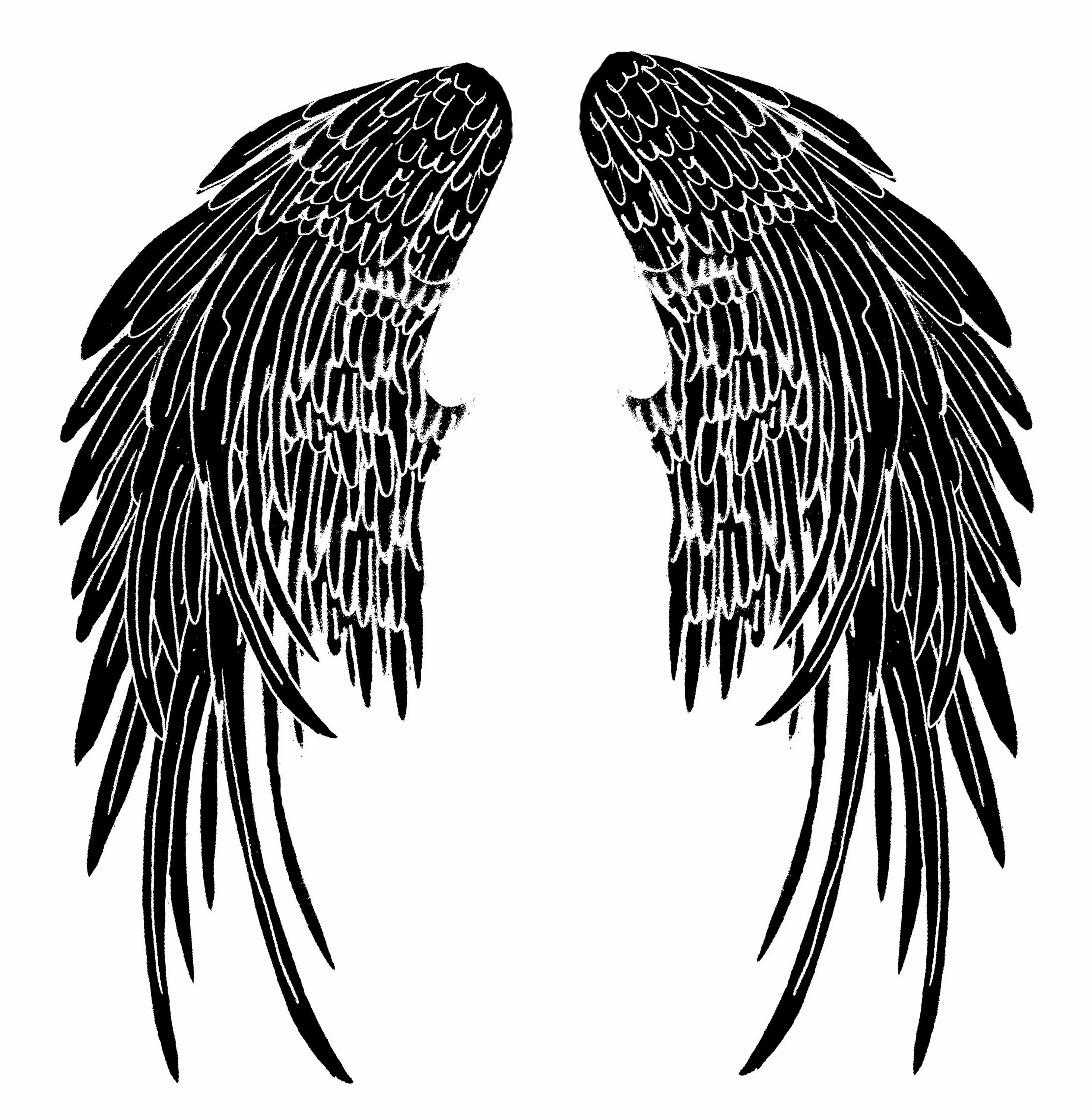 Крылья рисунок. Эскизы татуировок Крылья. Крылья тату эскиз. Крылья ангела. Крылья на черном фоне