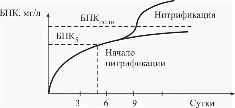 Процесс нитрификации. Нитрификация. Процесс нитрификации на очистных сооружениях. Схема нитрификации денитрификации. Нитрификация и денитрификация сточных вод.