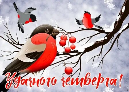 Февраль четверг