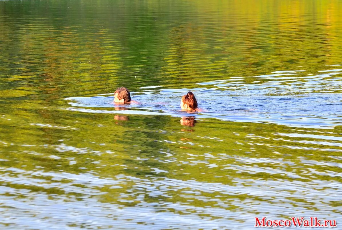 в озере где то далеко купаются. купаются в горном озере. лето речка. плавать в речке. купаться в озере.