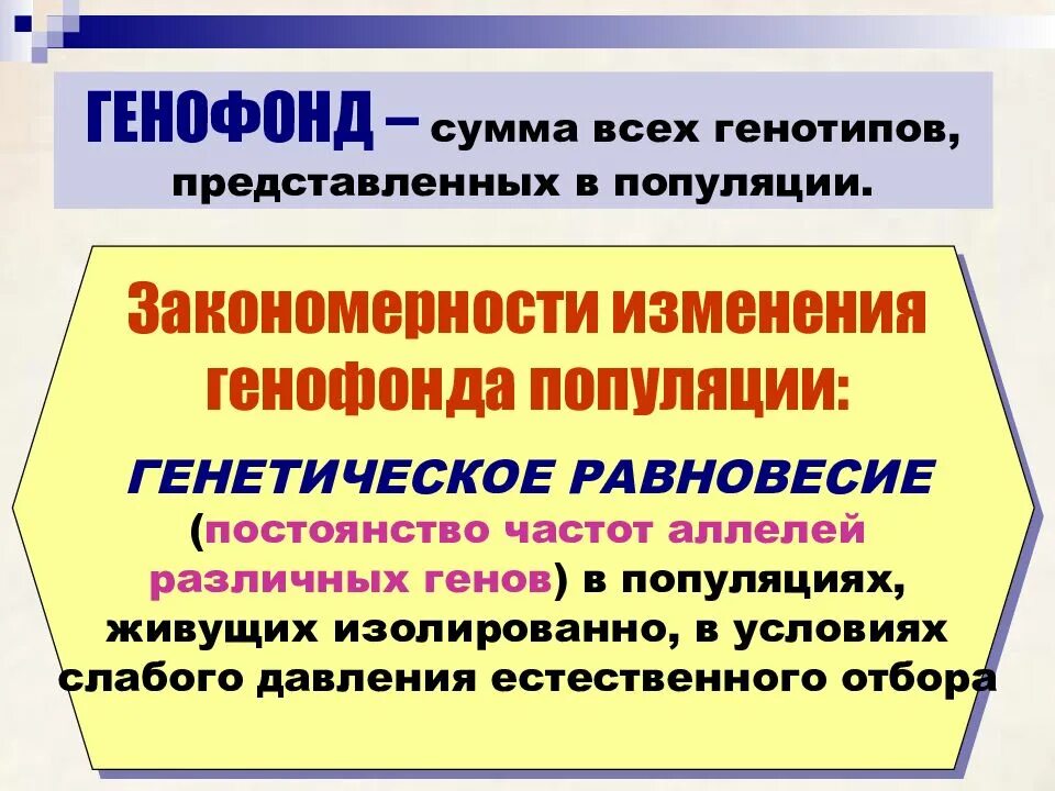 К образованию новых видов приводит изменение генофонда. Генетическое равновесие популяции это. Изменение генофонда популяций. Причины изменения генофонда. Нарушения генетического равновесия в популяциях.