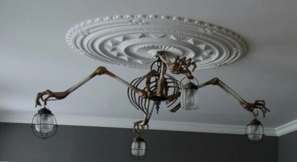 Rabies - enter the mad witch. марсель бонтемпи. Old mad. родители старого режима. Mad soul.