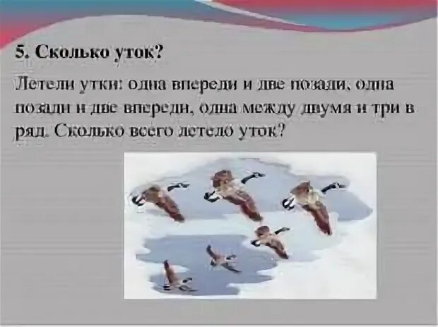 Сколько летят утки
