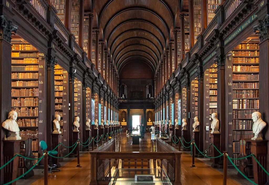 The dynamic library