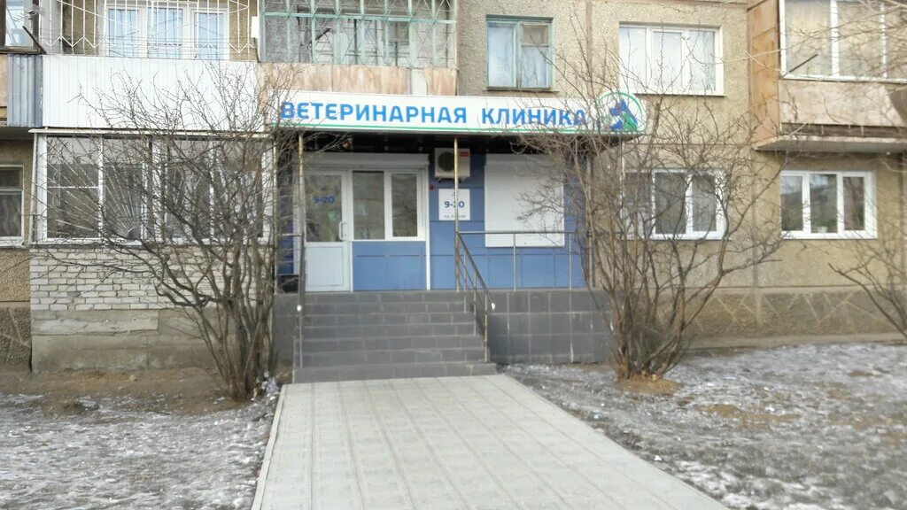 Девичья сопка чита. Ветклиника кск. Ветеринарный центр москва. Зеленая 41. Ветклиника кск.