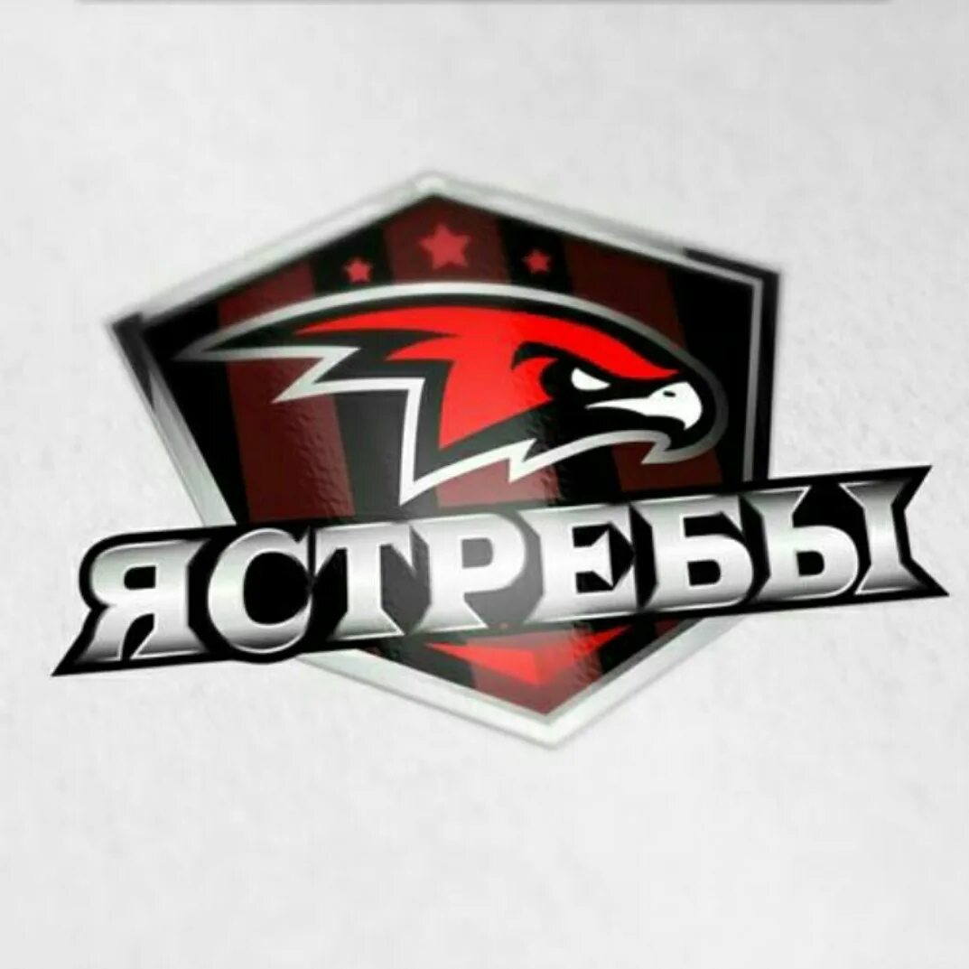 Название ястребов. Крупные птицы кузбасса. Лунь канюк тетеревятник. Девиз для команды ястребы. Кобчик пустельга.