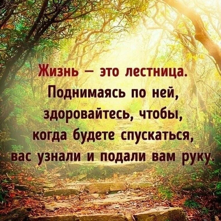 Красивые цитаты. Мудрые изречения. Умные фразы. Умные высказывания.