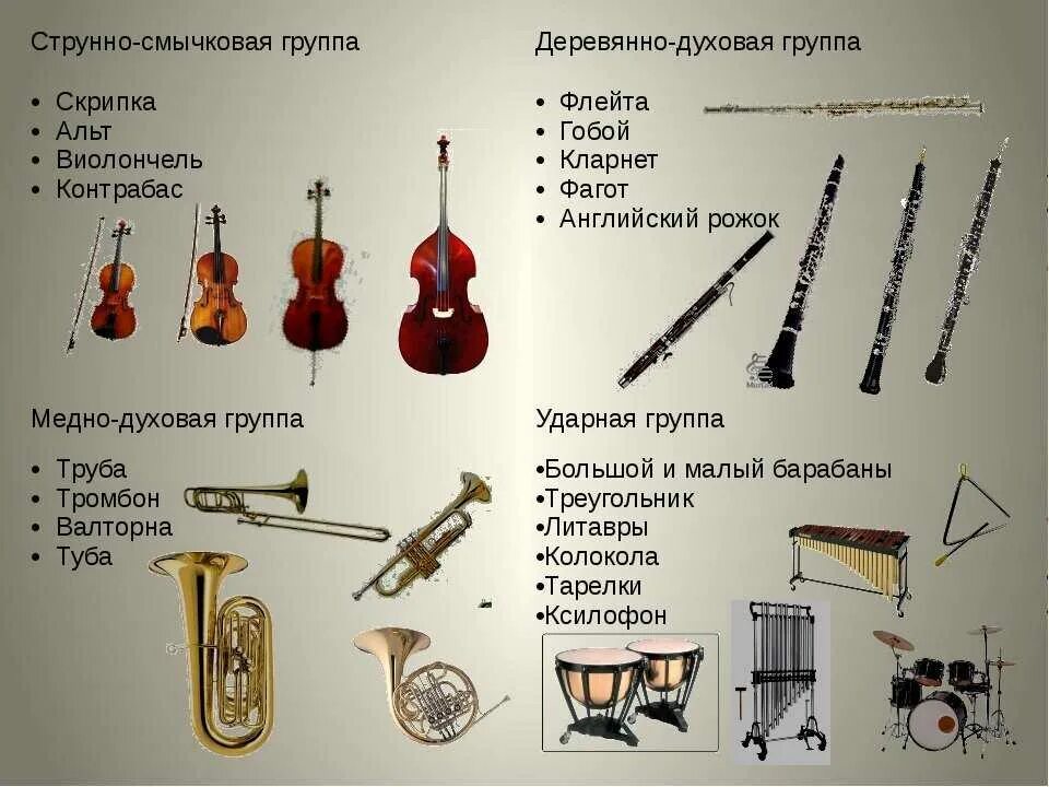 Какие виды музыкальных инструментов