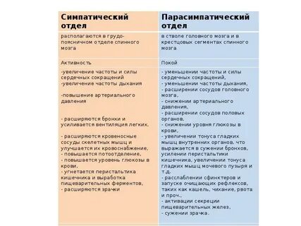 Симпатика действие