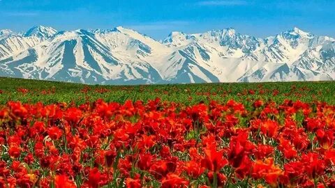 Ана мен ұлының сексі бейнеленген эротикалық мультфильмдер