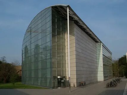 Faculty of law