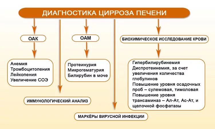 Лабораторная диагностика цирроза печени. Современные методы диагностики цирроза печени. Лабораторные методы исследования цирроза печени. Лабораторные методы исследования при циррозе печени.