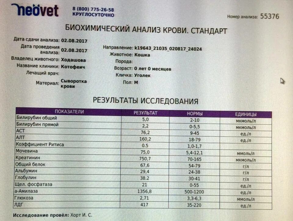 Анализ крови на лдг