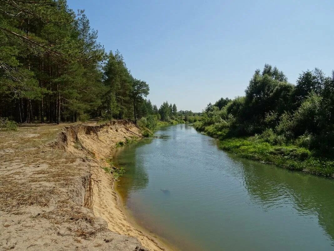 Сплав по реке киржач. Речка киржач. Речка киржач. Речка киржач. Река киржач владимирская область.