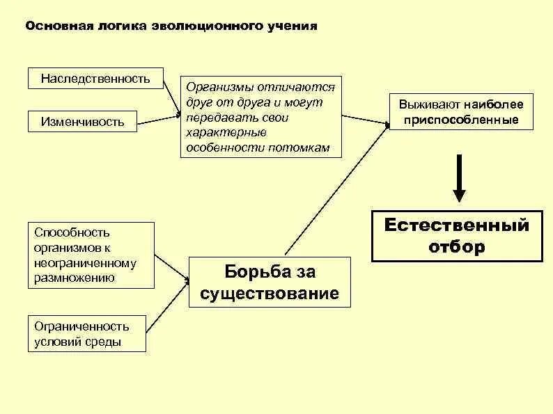 Дарвин назвал такую индивидуальную наследственную изменчивость. Учение дарвина о наследственности и изменчивости. основная логика эволюционного учения дарвина. наследственность по дарвину.