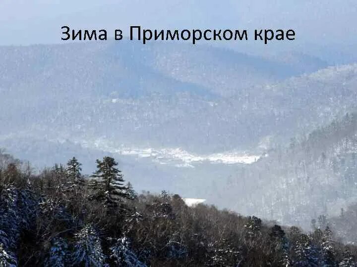 Волны холода - Фотогалерея РГО