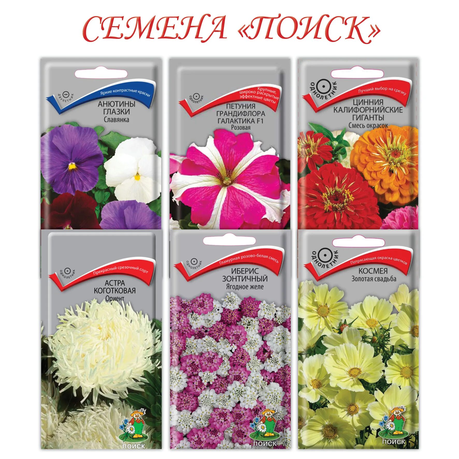 семена цинии от партнера. агрофирма партнер семена петунии. цветы семена. семена партнер. семена почтой каталог.