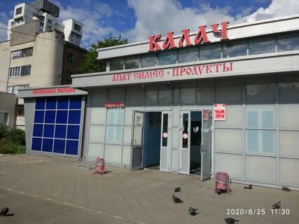 Незабудка 21