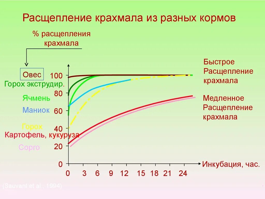 Расщепление крахмала. Температура распада крахмала. Кормление высокопродуктивных коров. Расщепление крахмала для сусла.