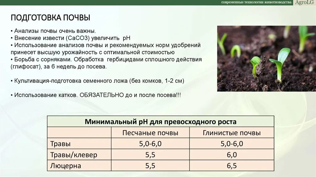 Состояние почвы. Песчаные и супесчаные почвы. Лабораторные исследования почвы. Экспертиза грунта. Изучение почвы.