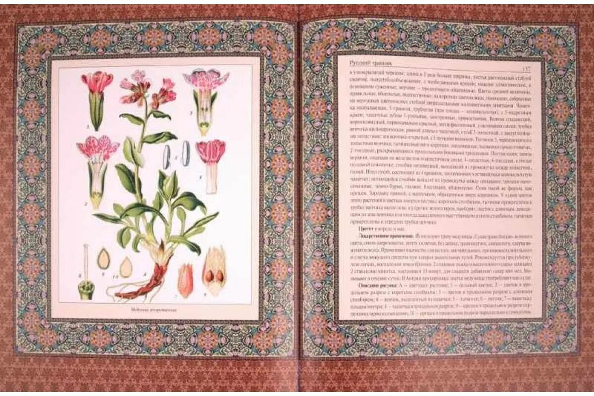 Что такое травник. Травники древней руси. первый русский травник. травник с иллюстрациями. рукописный травник.