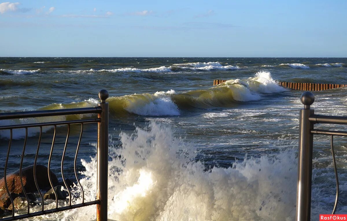 Море в зеленоградске сейчас