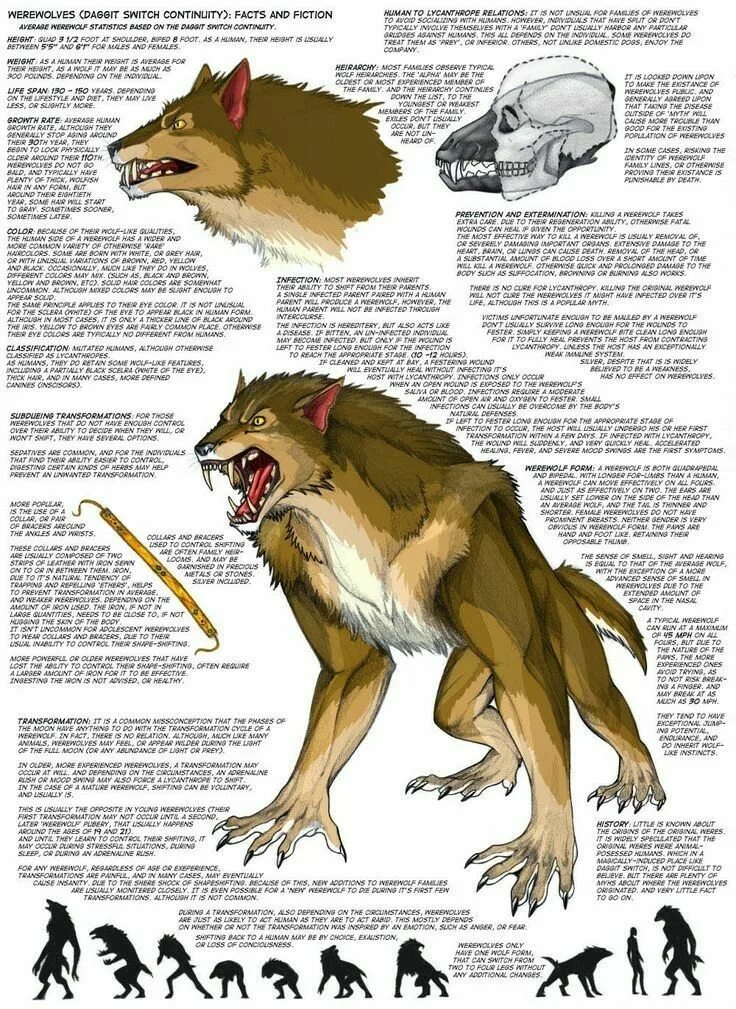 Томми оборотень против вампира. Серебро и оборотни. Оборотни ликаны вервольфы альфа. Чего боятся оборотни. Ван хельсинг оборотень.