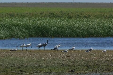Остров водный ростовская область