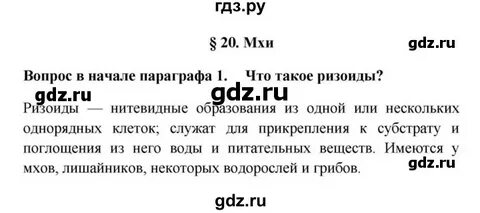 История 5 класс параграф 20 краткое содержание