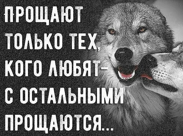 День только те у кого. Прощают только тех кого любят с остальными прощаются. кого любят прощают с остальными прощаются. прощают только тех. прощают тех кого любят с остальными прощаются картинка.