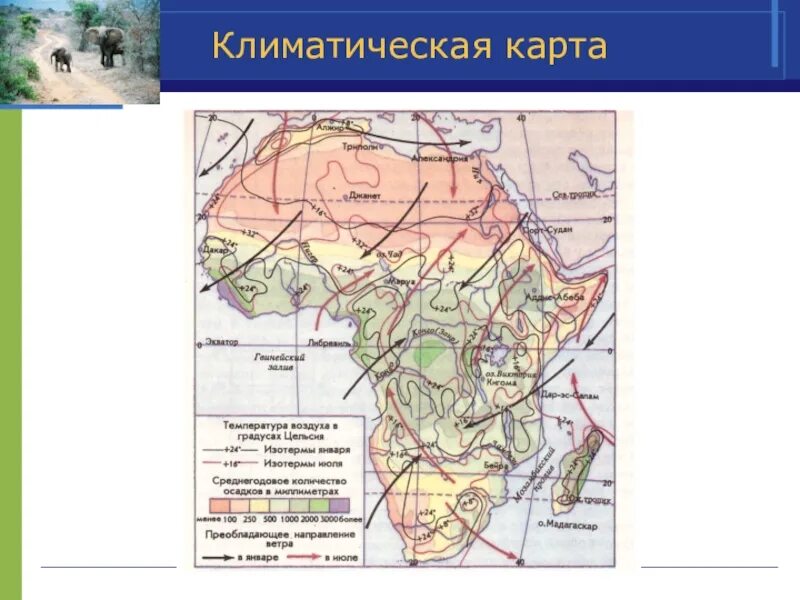 Средние осадки африки. Климатическая карта Алжира. Карта климатических поясов Африки 7 класс. Климатическая карта Африки 7 класс. Африка физическая карта 7 класс климат.