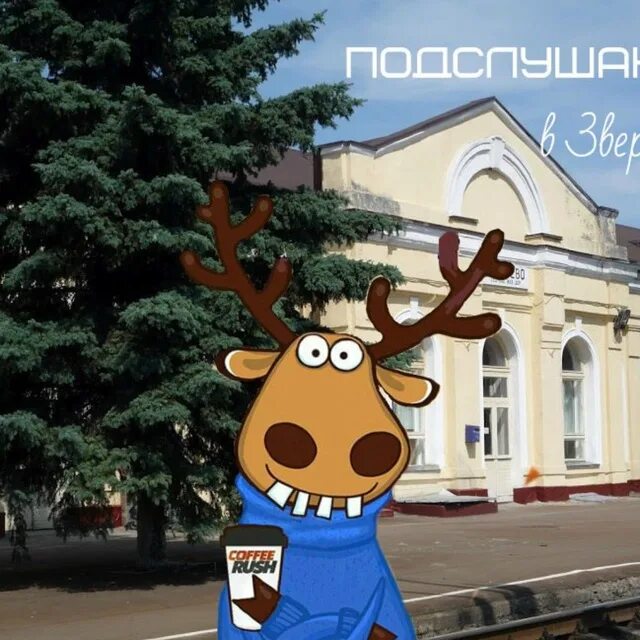 Где в зверево можно. Подслушано в зверево.