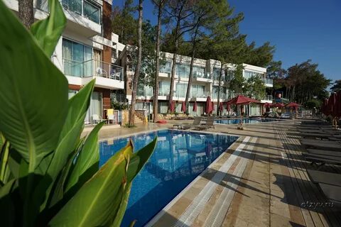 Lotus beach