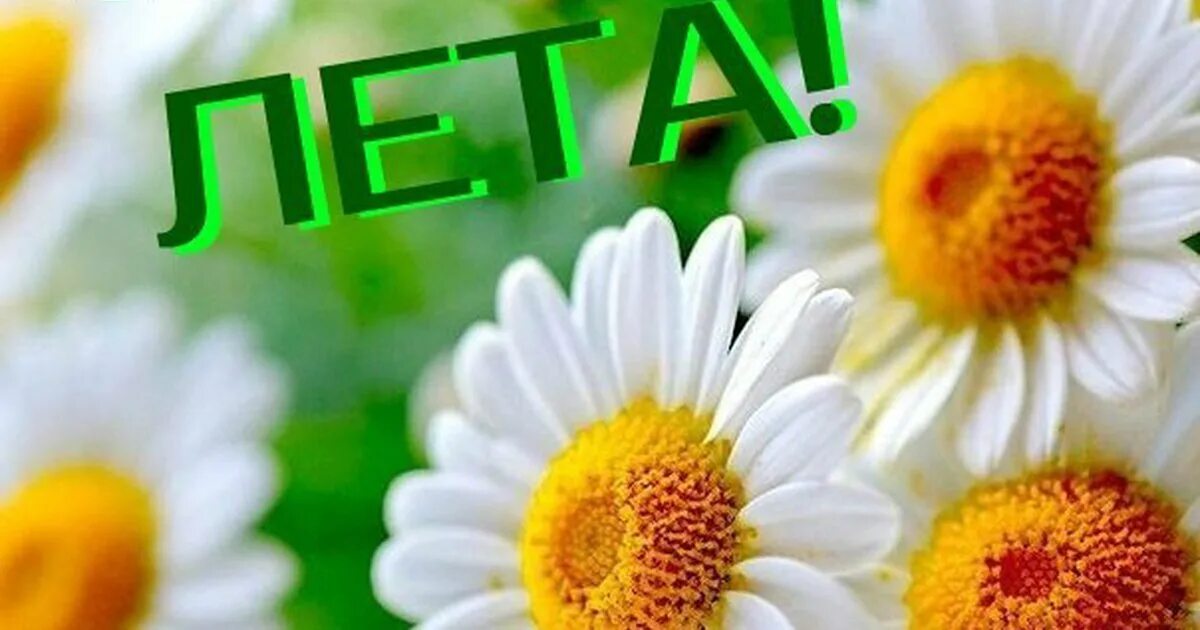 С летом поздравления. Надпись с 1 днем лета. С началом лета. Открытки с наступлением лета. Надпись с 1 днем лета.