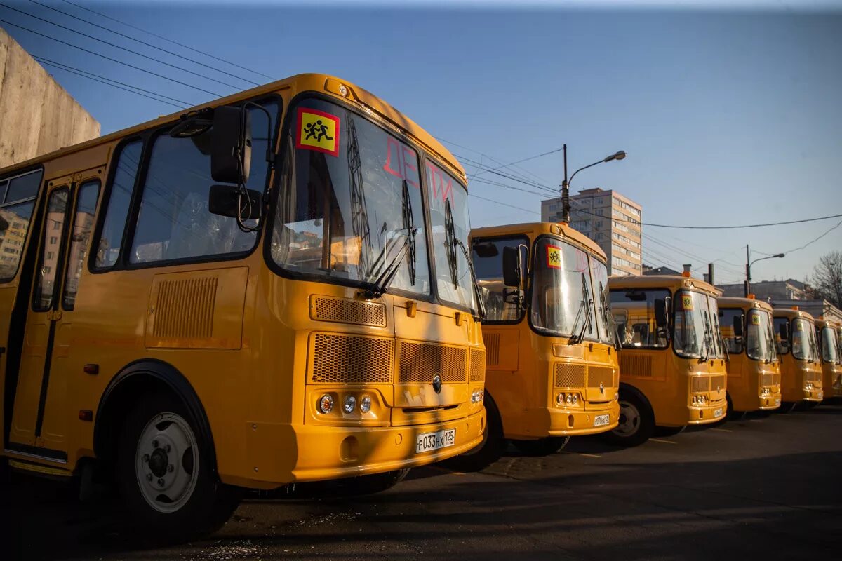 Автобусы школа 6. Фото школьного автобуса желтого. Автобус паз дети салон. Автобусы школа 6. Школьный автобус.
