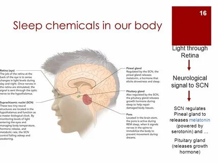 Sleep functions