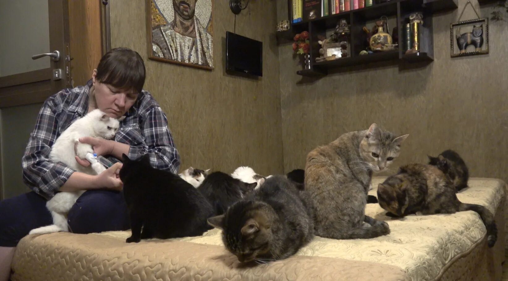 светлана лебедева зоозащитница. кулагин центр правовой зоозащиты. александр кулагин центр правовой зоозащиты. юрий корецких зоозащита. кулагин центр правовой зоозащиты.