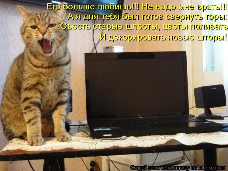 Песня котикам компьютеры не нравятся текст. Кот и компьютер. Кот за компьютером. Кот и компьютер юмор. Котик с компьютером.