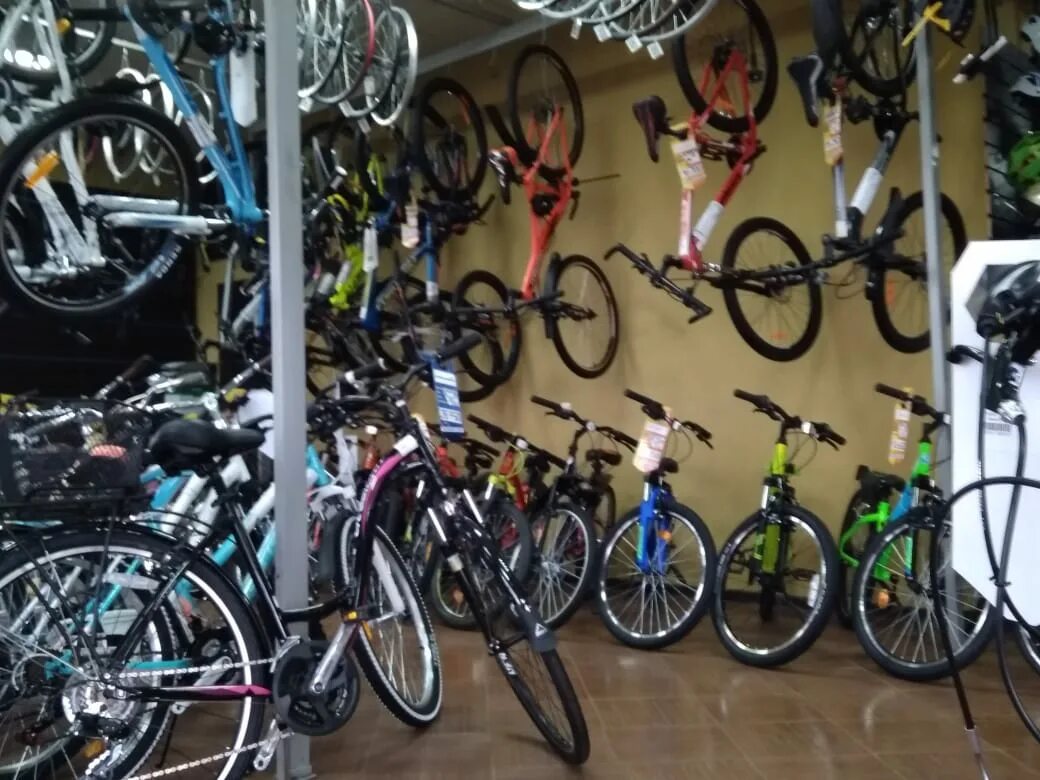 Coolki велосипед. Велосипеды видное. Велосипед выставка для детского сада. Велосипед подольск. Выставка велосипедов.