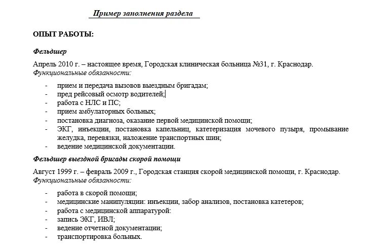 Профессиональный опыт работы пример