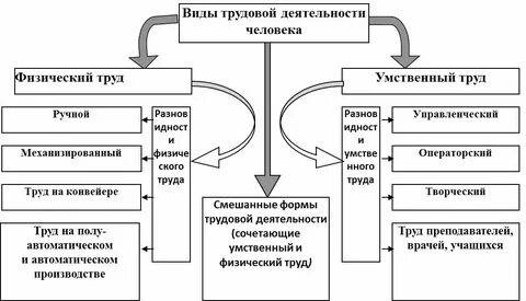 Виды деятельности связанные с оценкой