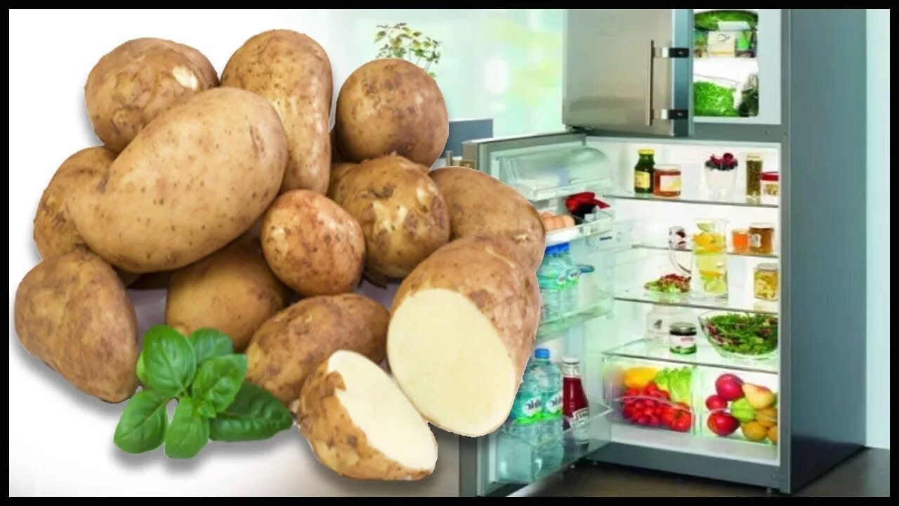 Можно хранить картофель в холодильнике. Холодильник для картофеля. Холодильник для хранения картошки. Картофель дома. Картошку хранят в холодильнике.
