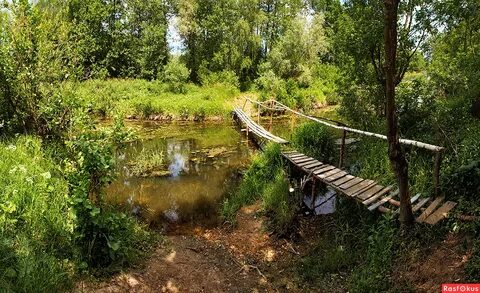Сивинь мордовия