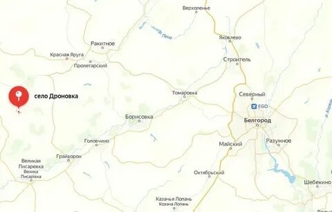 Дроновка белгородская